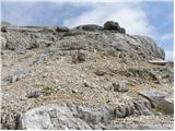 Passo Tre Croci - Sella di Punta Nera